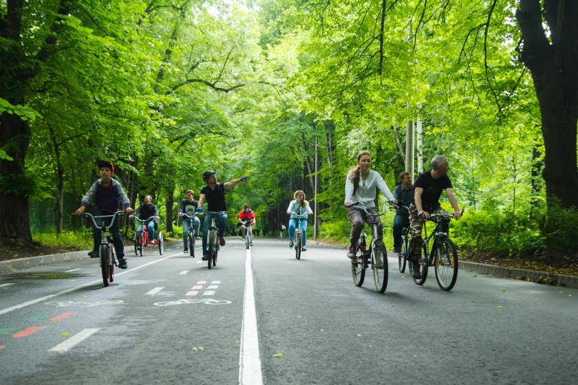 Велодорожки в Сокольниках