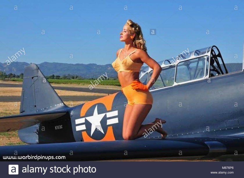 Девушка в самолете