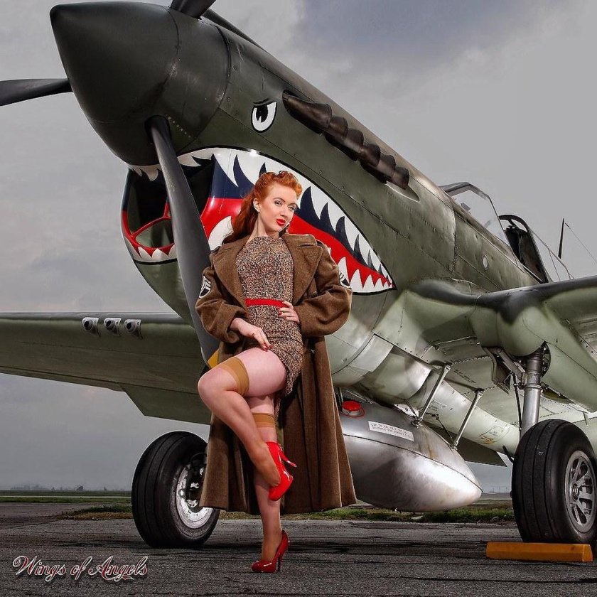 P-40 Tomahawk крыло