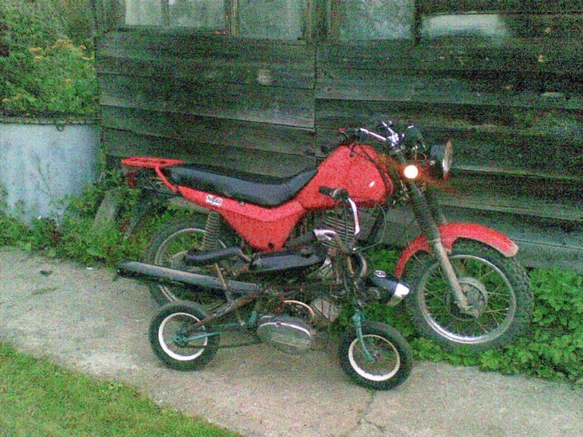 ЗИД-36 Птаха