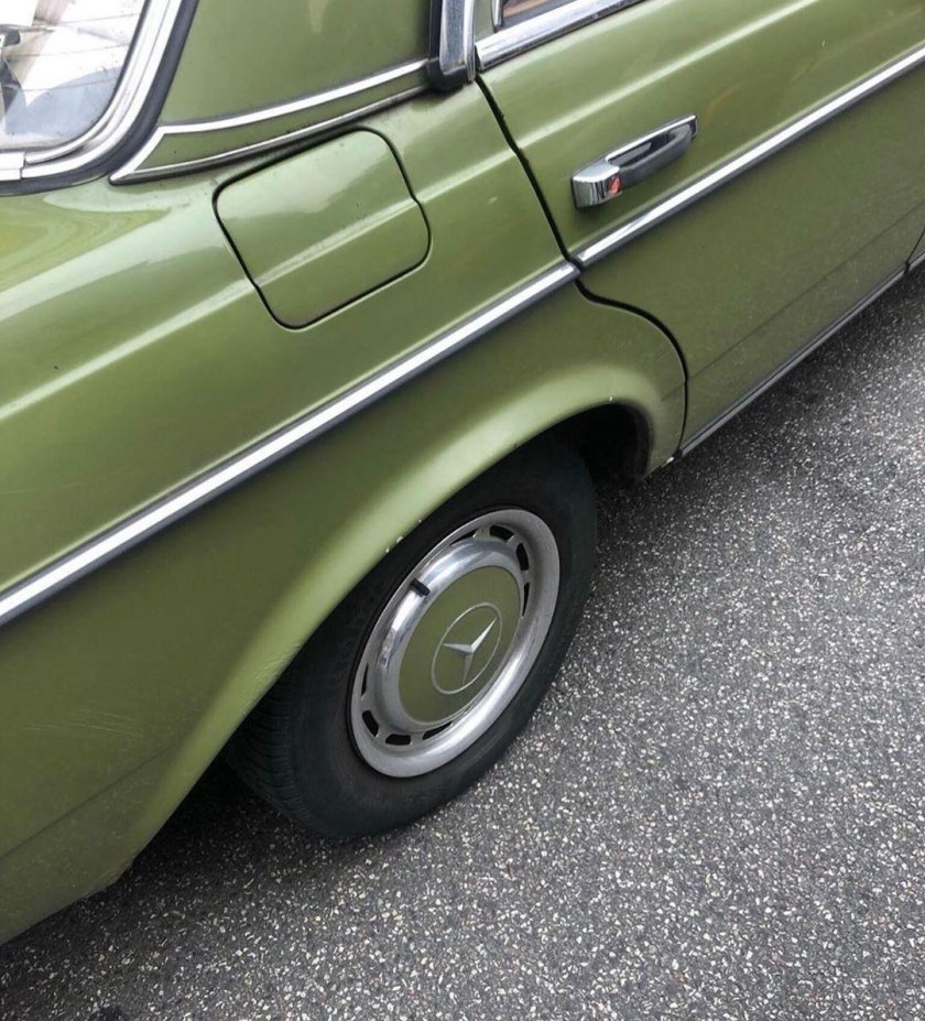 Эстетика оливкового цвета