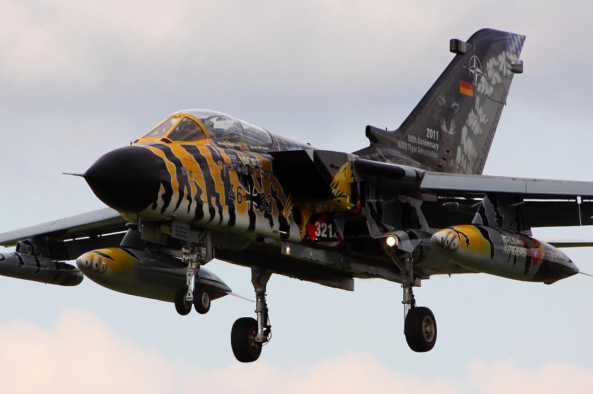 Торнадо тигр