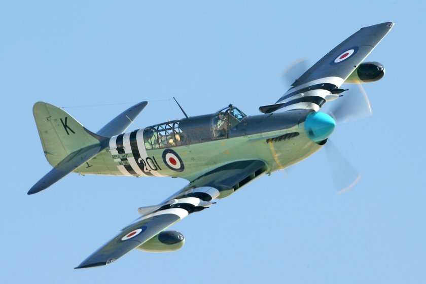 Фейри Файрфлай