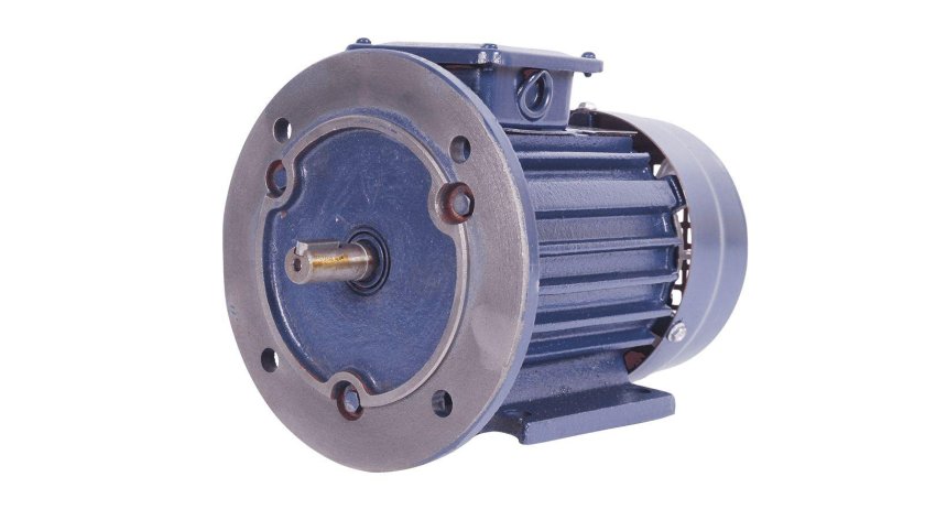 Электродвигатель тм бэз аир 80в2
