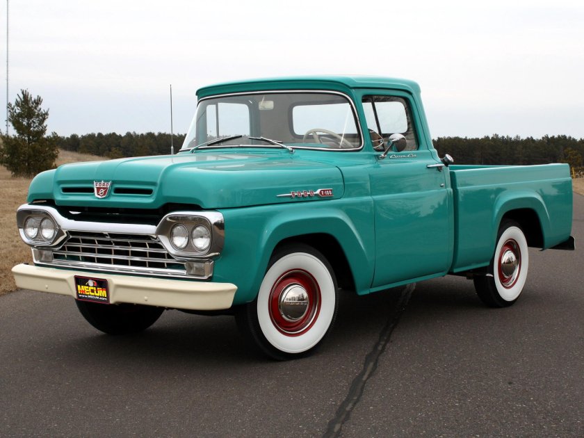Ford f100