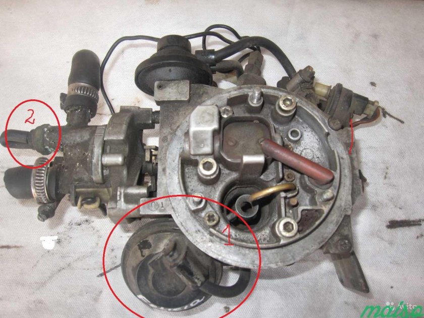 Карбюрато школа Фелиция