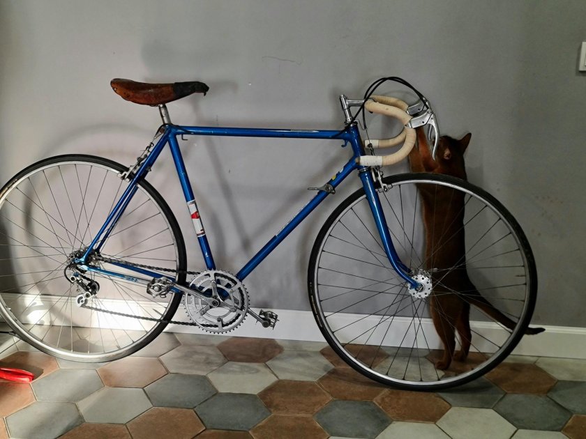 ХВЗ старт шоссе