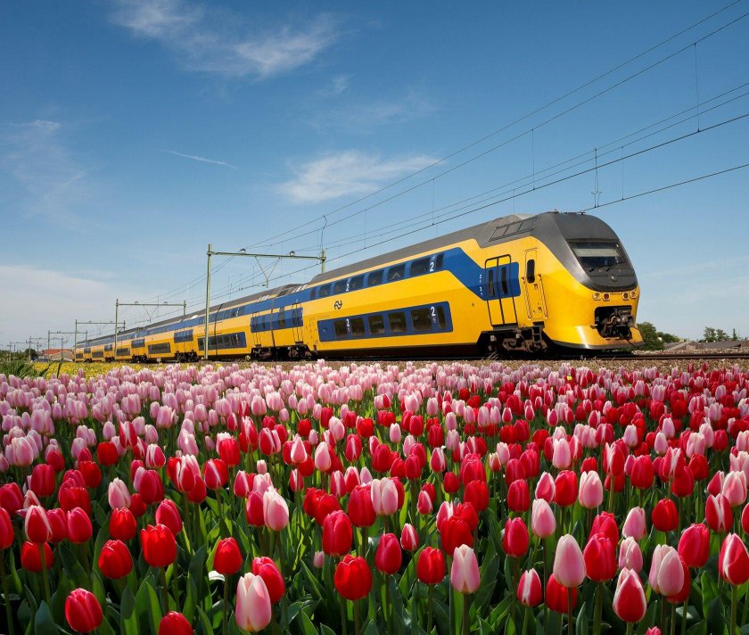 Поезд в цветах