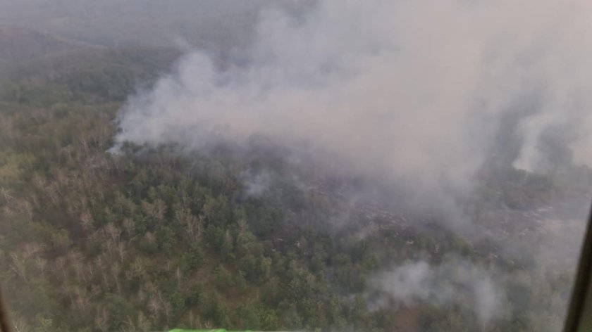 Пожар в лесу