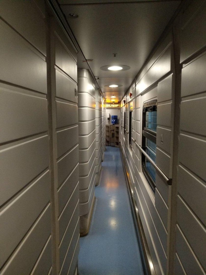 Стриж поезд