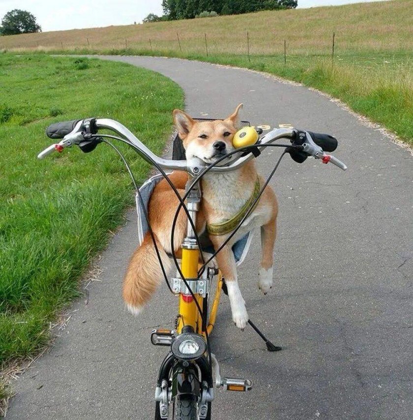 Смешной велик