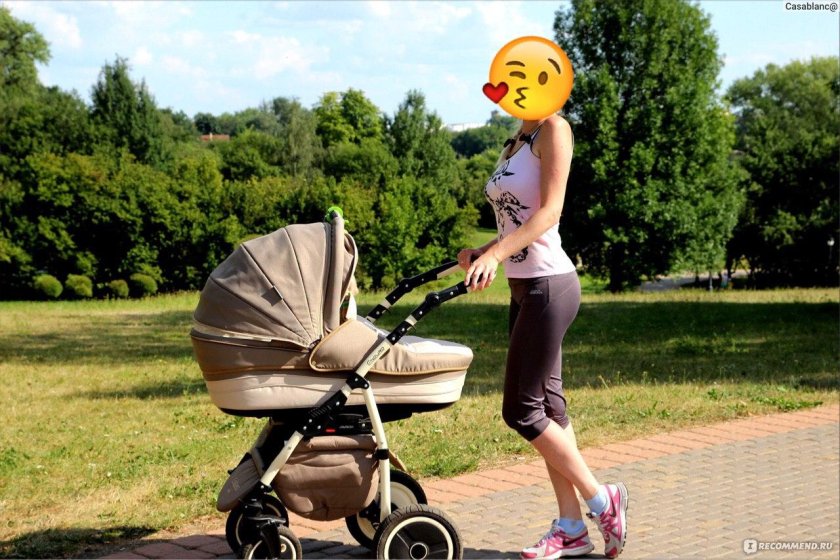 Коляска Адамекс