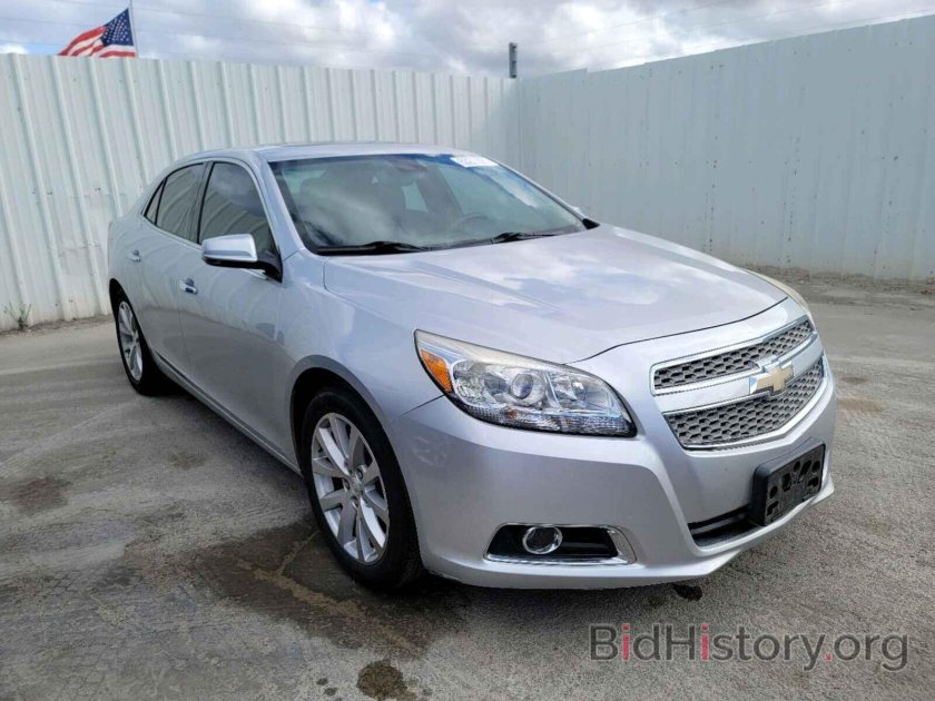 Шаровая Малибу 2013