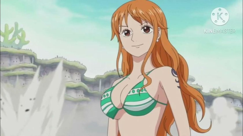 Ван пис нами в купальнике