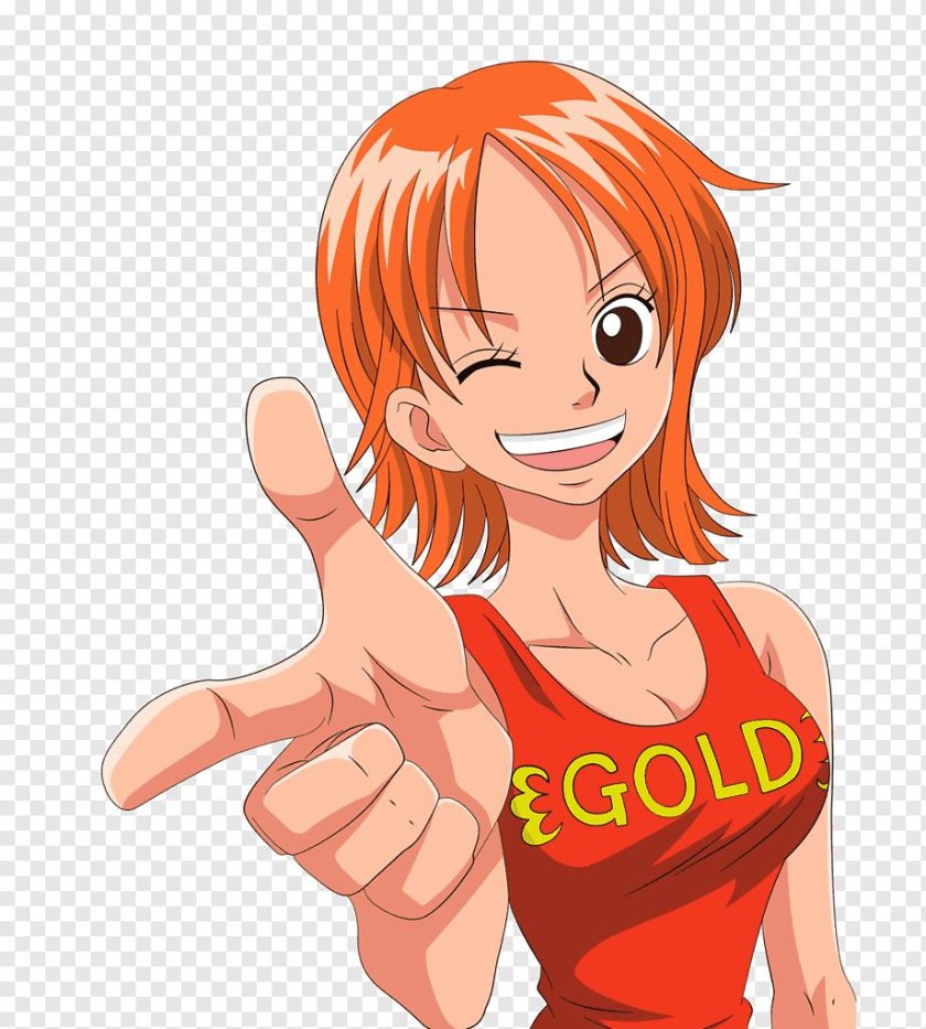 Нами вектор