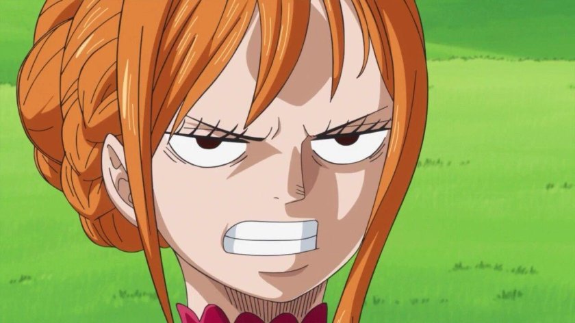 Нами Ван Пис после таймскипа