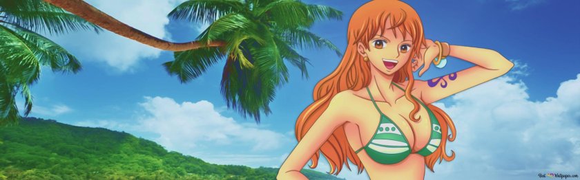 Ван Пис нами в купальнике