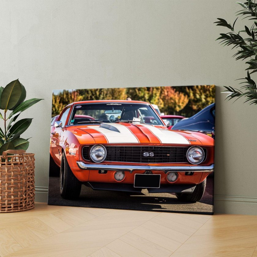 Chevrolet camaro 1969