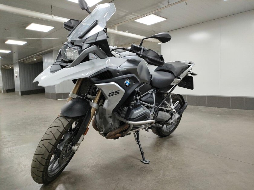 R1200gs и Гусь