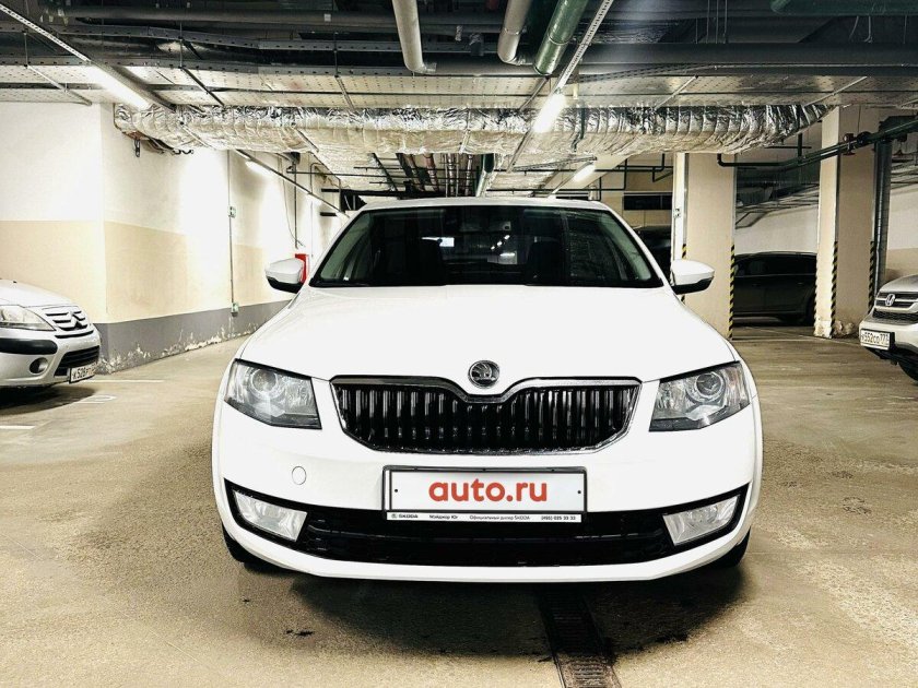 Шкода октавия 2015 белая