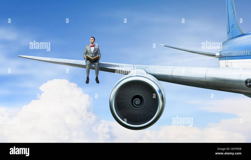 Сидит на крыле самолета