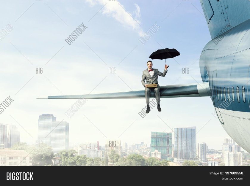 Сидит на крыле самолета