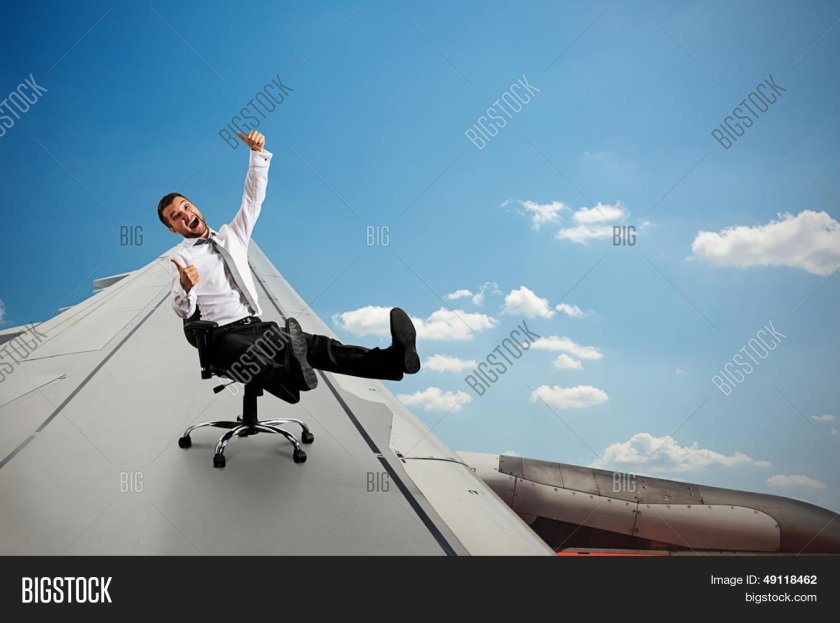 Сидит на крыле самолета