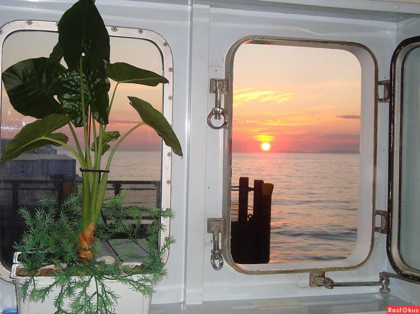 Иллюминатор