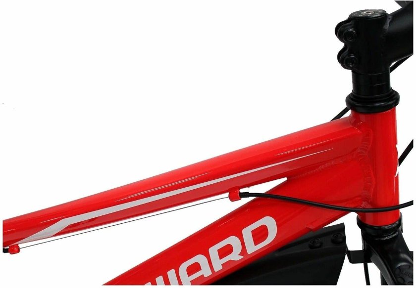 Форвард Rise 24