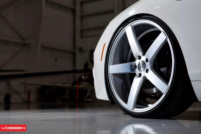 Vossen cv3