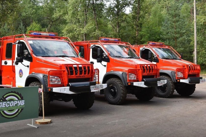 Лесоруб 2022 Брянск