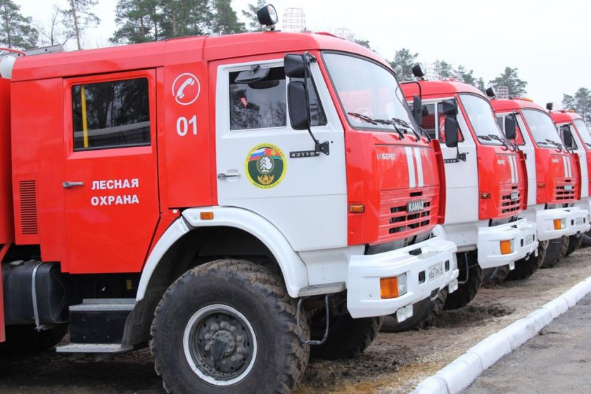 Лесопожарный центр Липецкой области