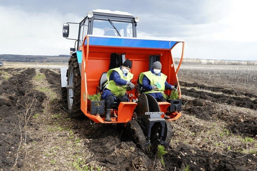 Оборудование для лесовосстановления