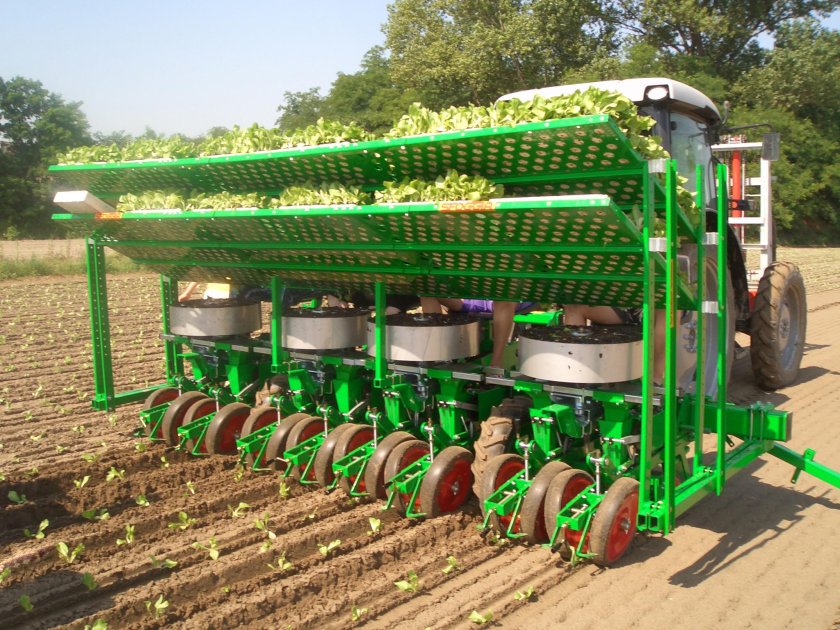 Сеялка sfoggia