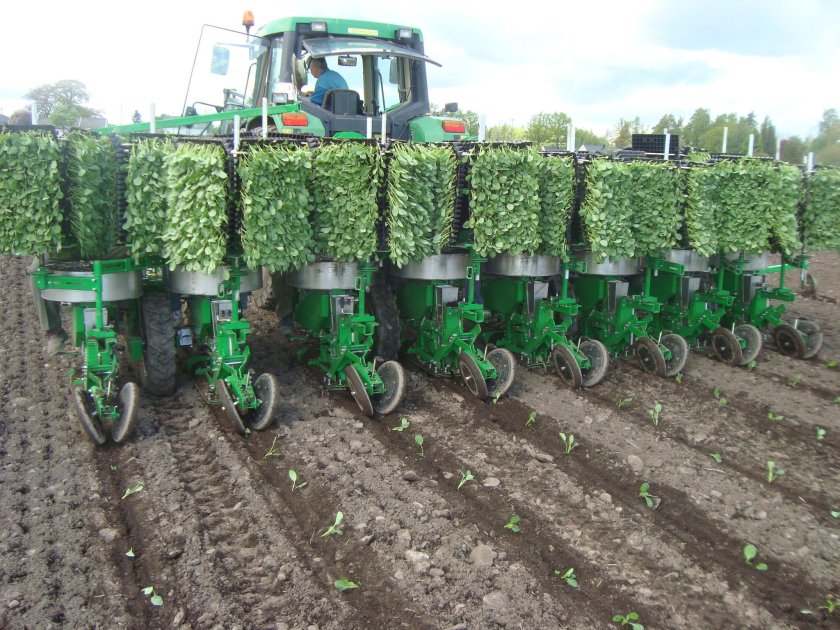 Рассадопосадочные машины для капусты Джон Дир