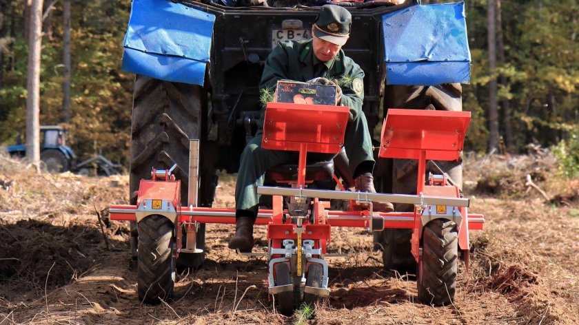 Техника для леса