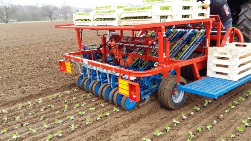 Феррари рассадопосадочная машина