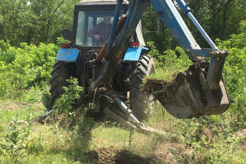 Агроуход за лесными культурами