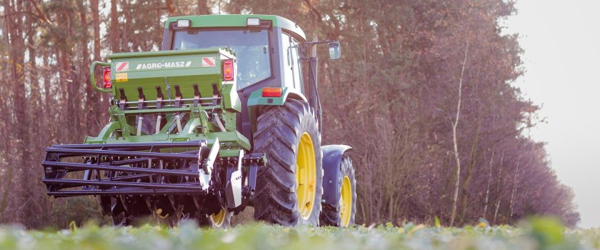 Dzik сеялка Лесная