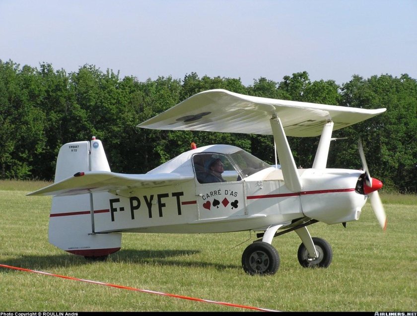 Небесная блоха самолет