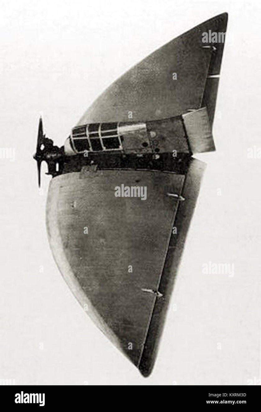 Черановский Бич-3