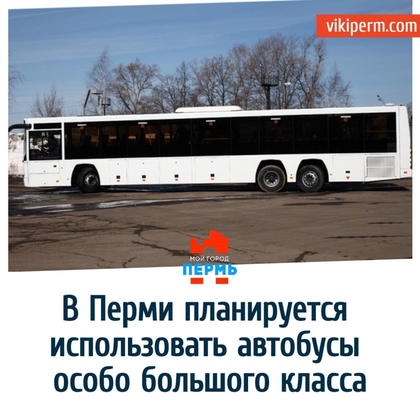 Автобусы особо большого класса