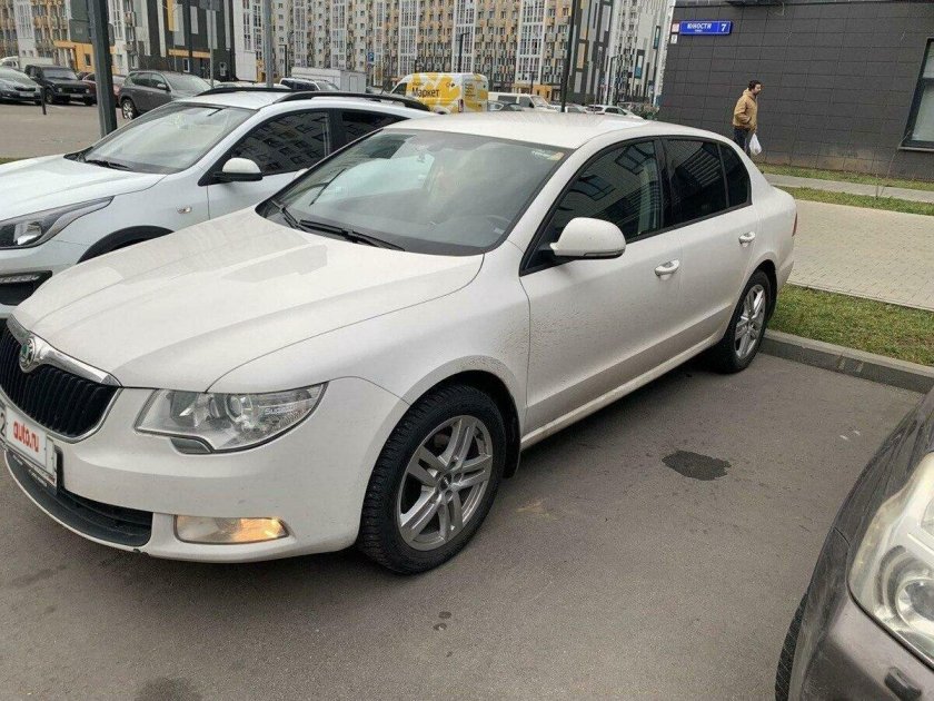 Белый Суперб 2