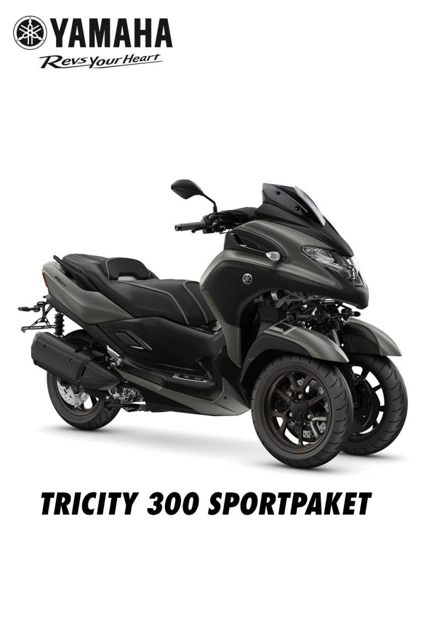Tricity 300