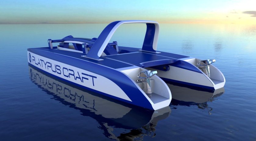 Моторный катамаран