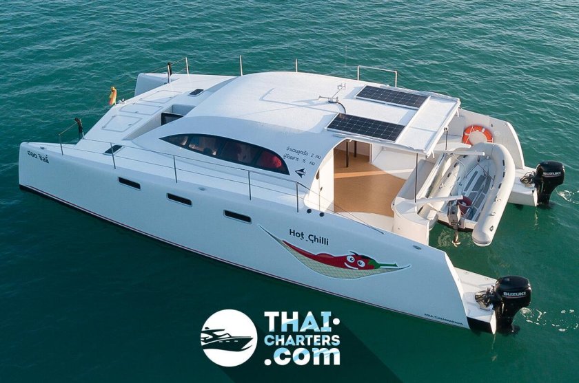 Моторный катамаран