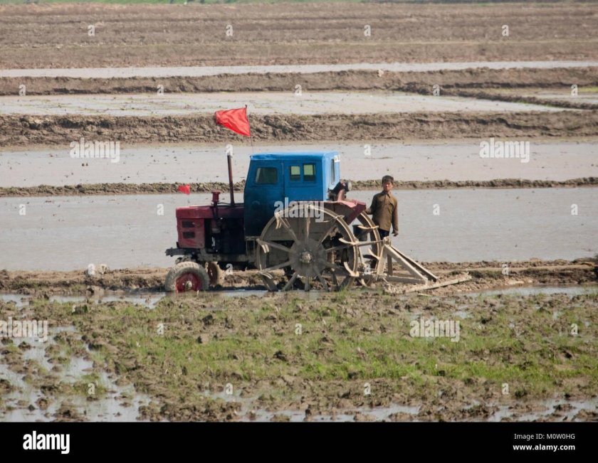 Трактор Чхоллима 28