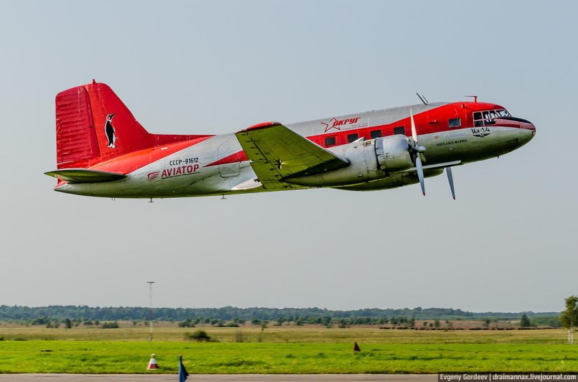 Ил-14 Пингвин
