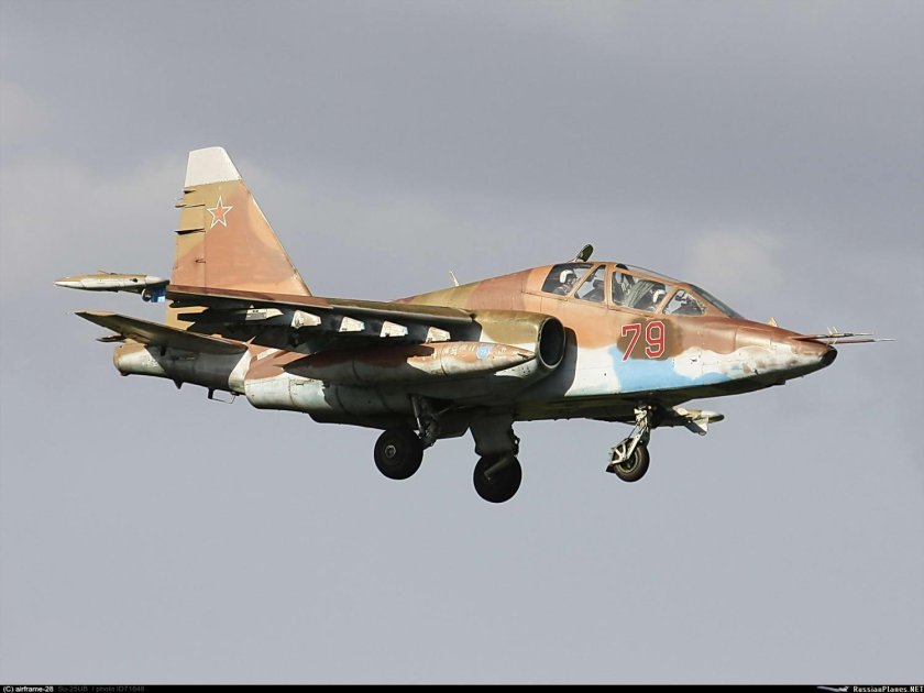 Макс 2001 Су 25см