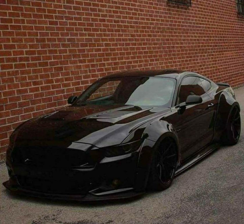 Черный Мустанг